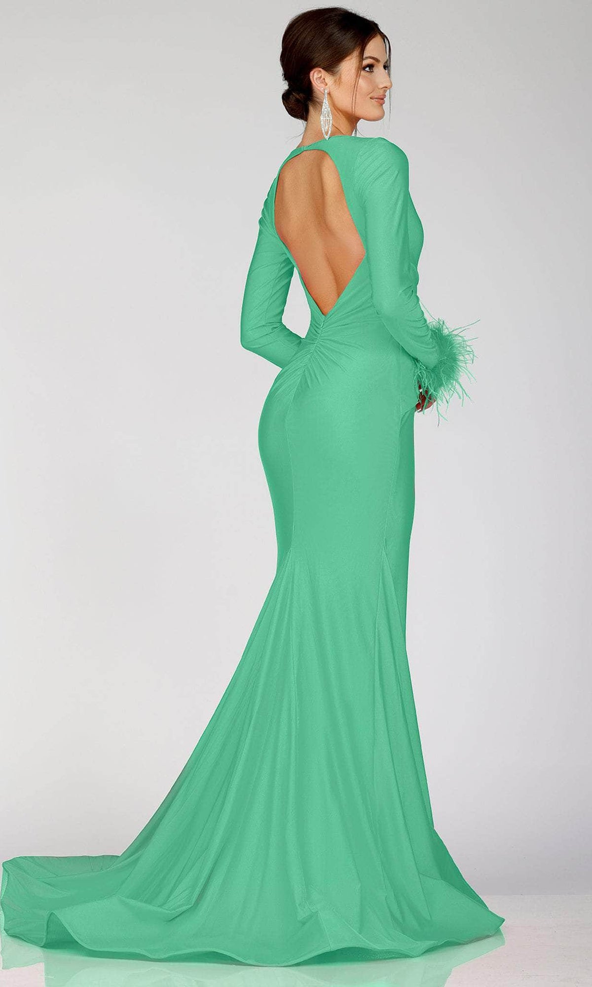 Terani Couture 231P0074 - Long Sleeve Feathered Detailed Evening Gown - view 5