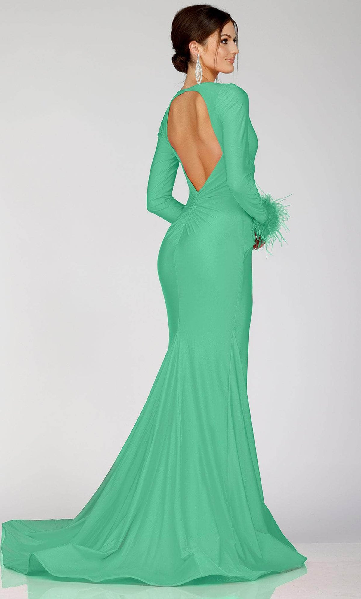 Terani Couture 231P0074 - Long Sleeve Feathered Detailed Evening Gown - view 5