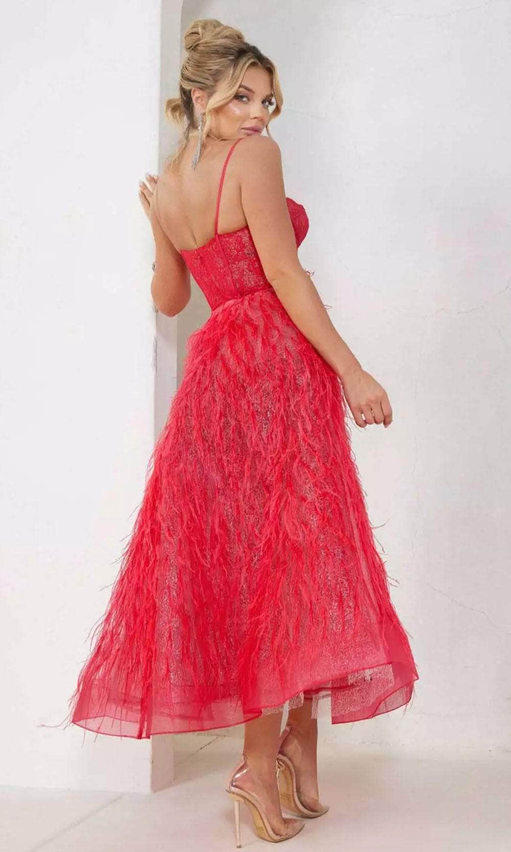 Terani Couture 241P2022 - Feather Corset Prom Dress - view 4