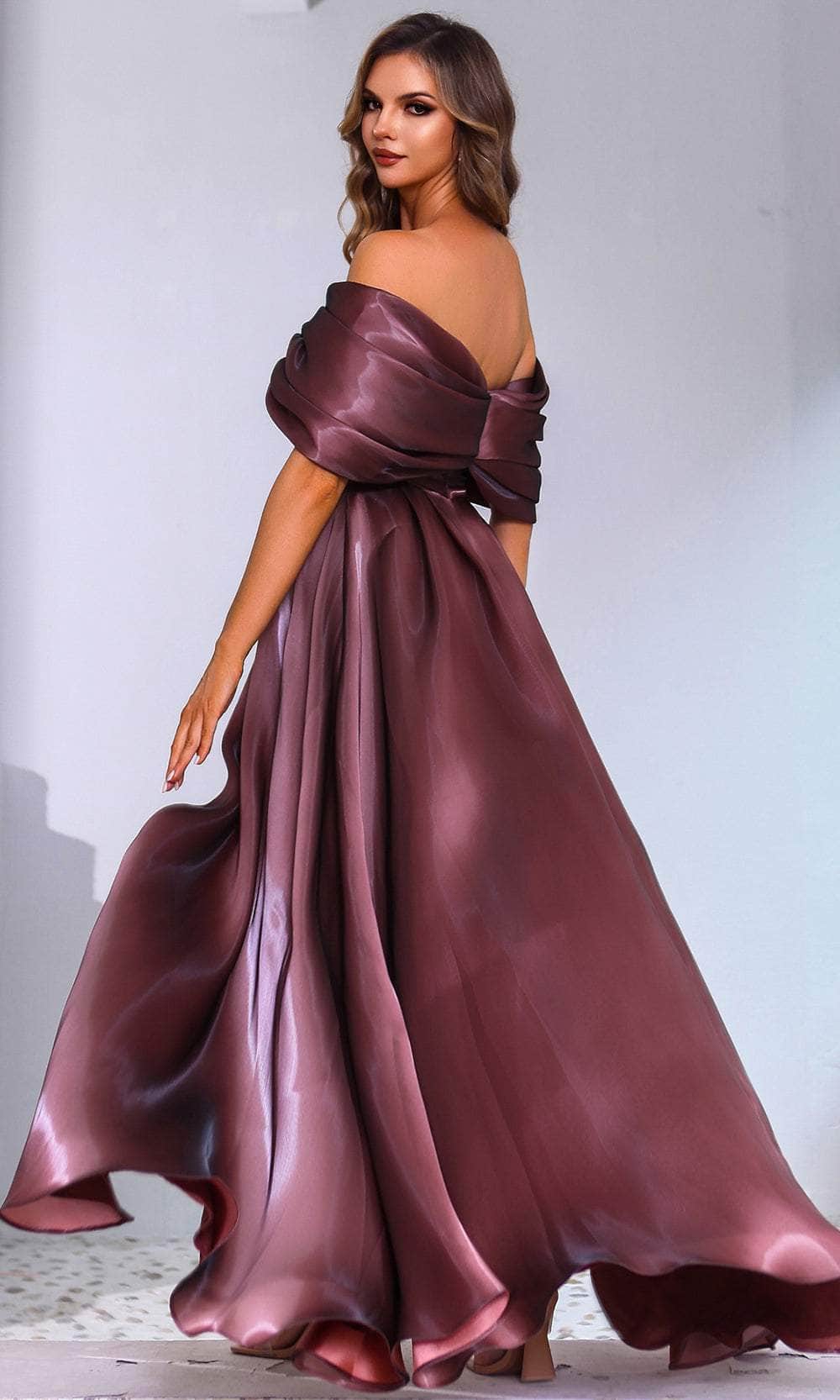 Terani Couture 251M4044 - Off Shoulder Sweetheart Evening Gown - back view