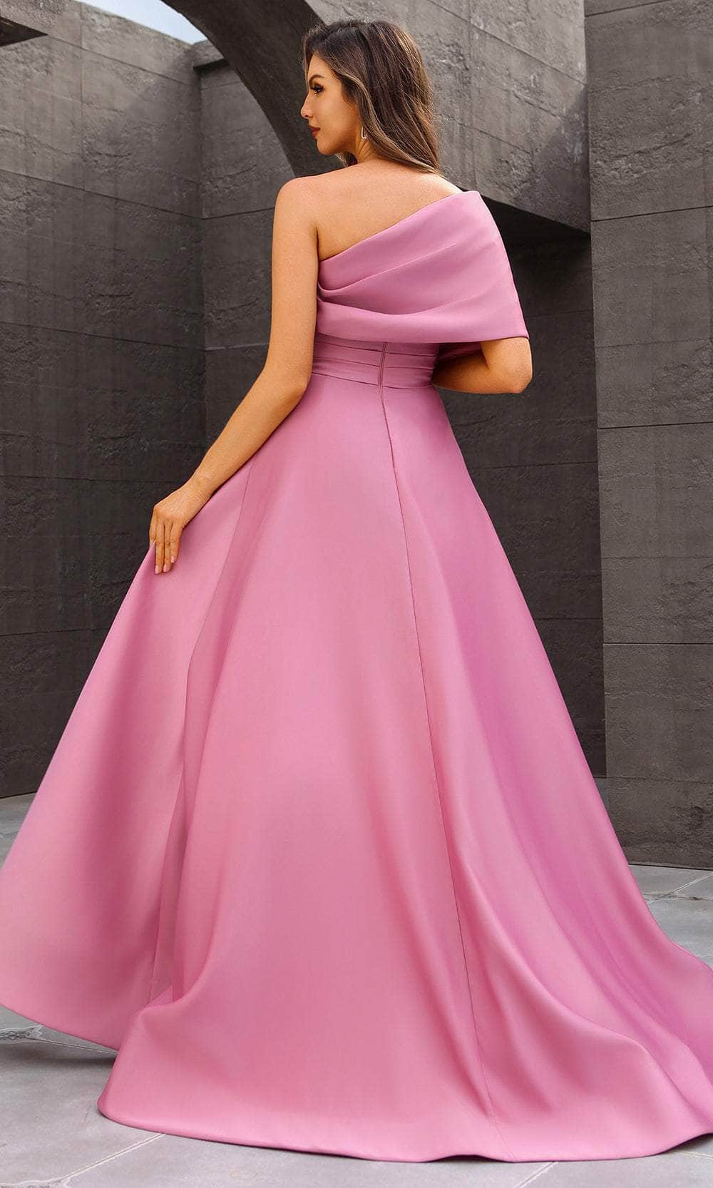 Terani Couture 251M4441 - One Sholder Pleated Waistband Evening Gown - back view