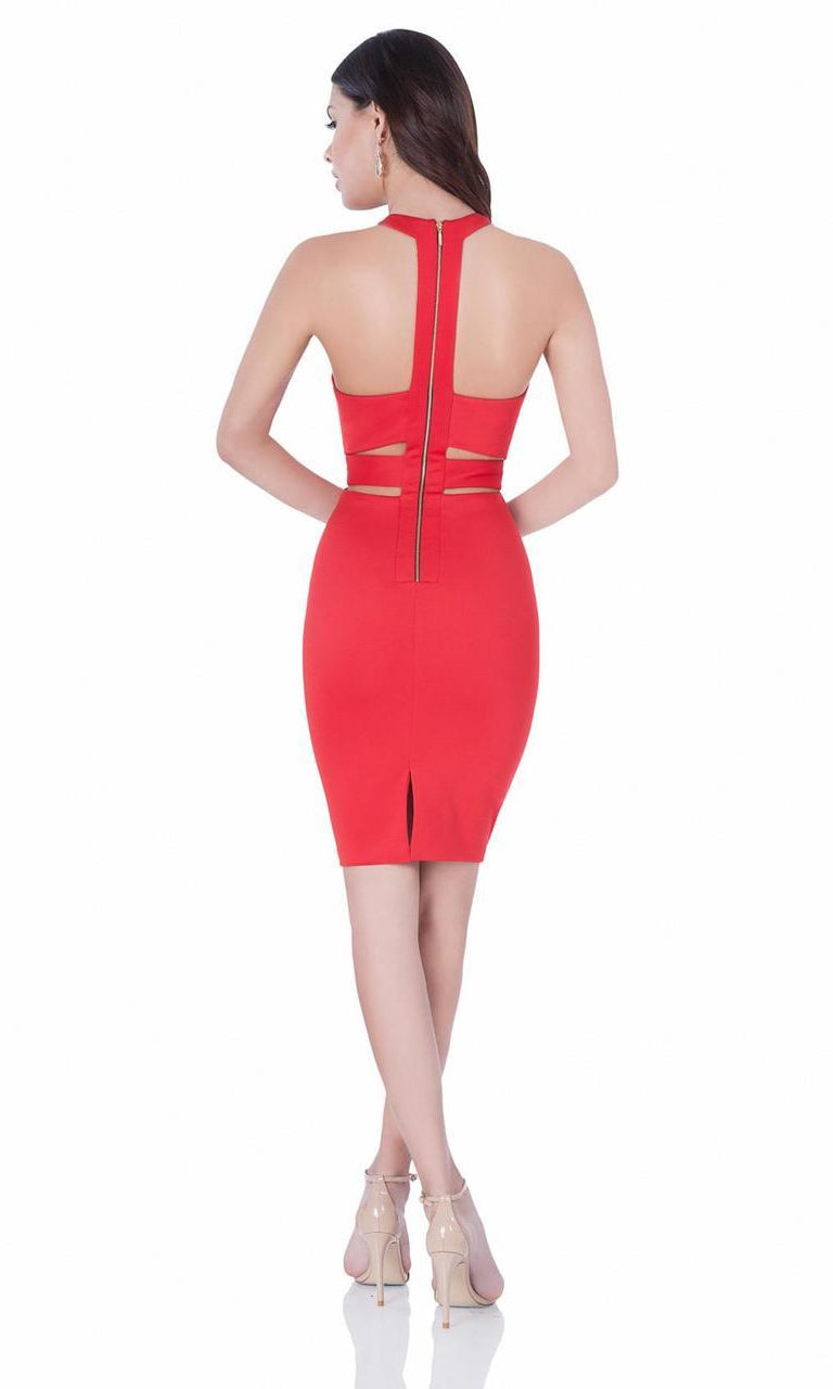 Terani Couture - Sexy Illusion Halter Neck Short Dress 1621H1056 - detail view