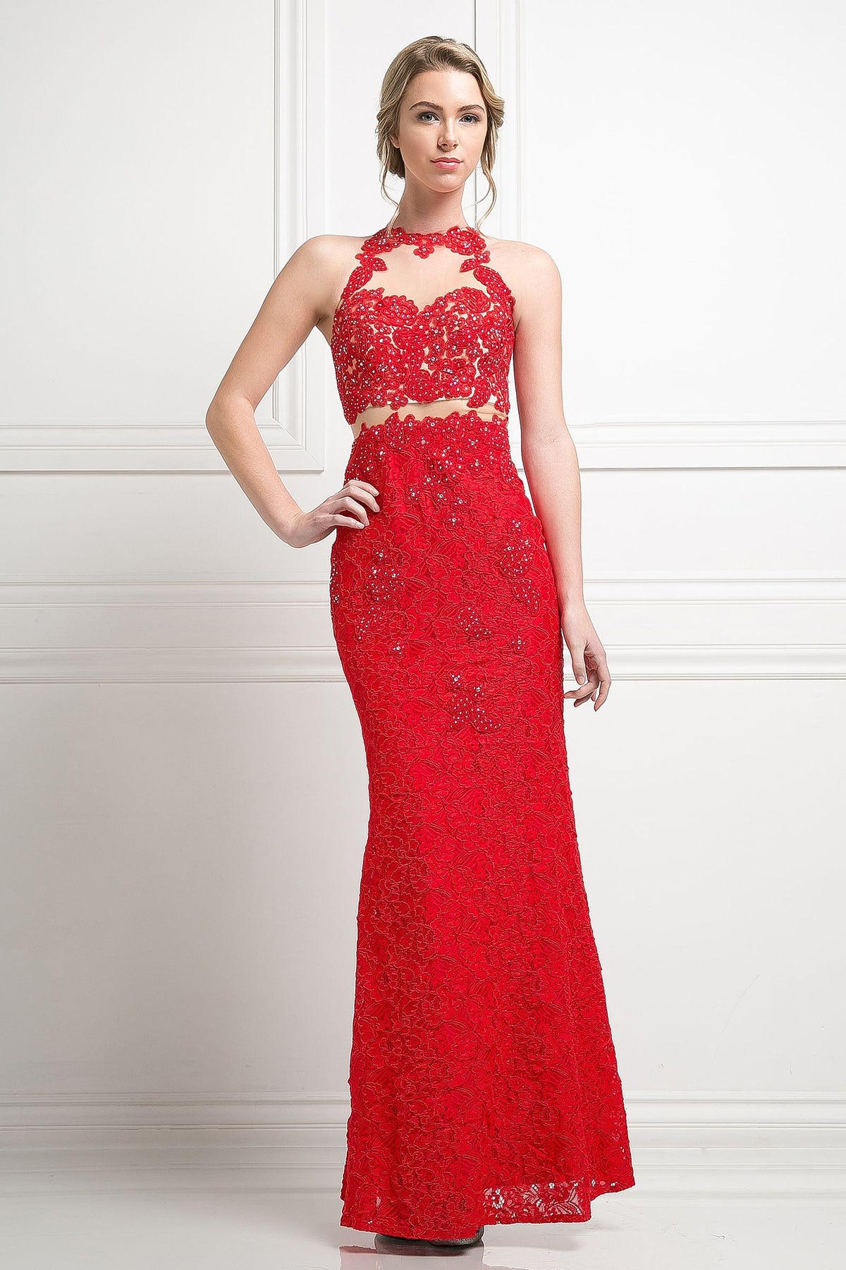 Cinderella Divine - Illusion Lace Appliqued Sheath Gown - designer prom dress at Silhouette Dresses
