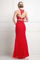 Ladivine 1586 - Sheer Lace Appliqued Sheath Gown