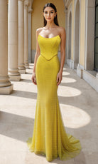Terani Couture 261P6187 - Scoop Neckline Fishnet Prom Dress - view 6
