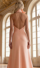 Jovani 39670 - Halter Floral Accent High Low Dress - back view