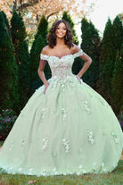 Jovani Q43811 - Floral Applique Illusion Corset Ballgown - detail view