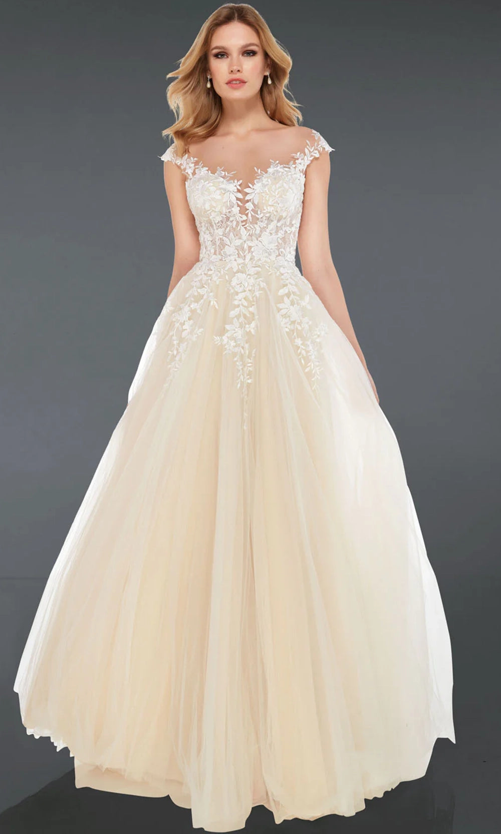 Alyce Paris 5090 - Plunging Illusion A-Line Lace Gown - back view