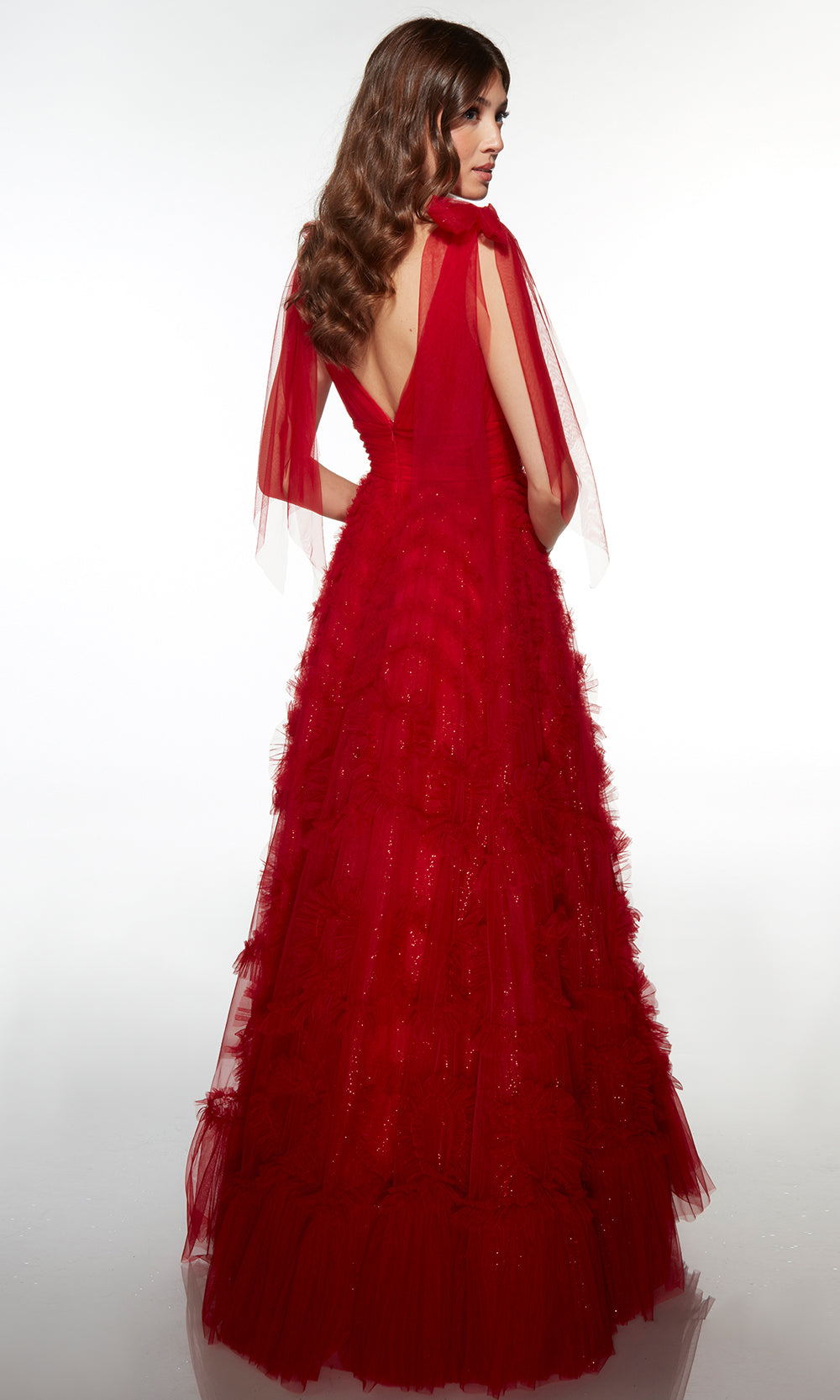 Alyce Paris 62079 - Textured Tulle A-Line Gown - detail view