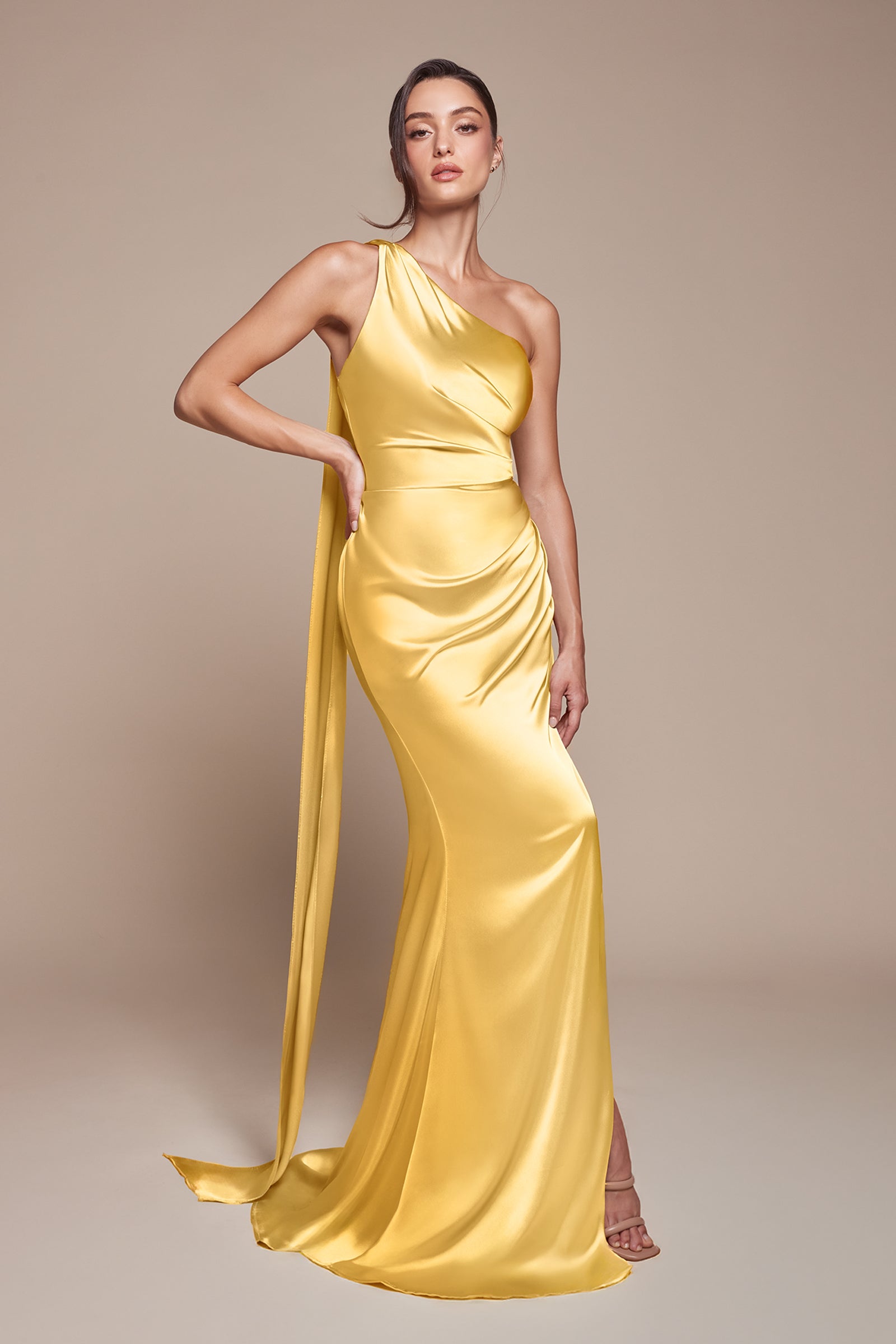 Ladivine 7454 - One Shoulder Fitted Long Gown