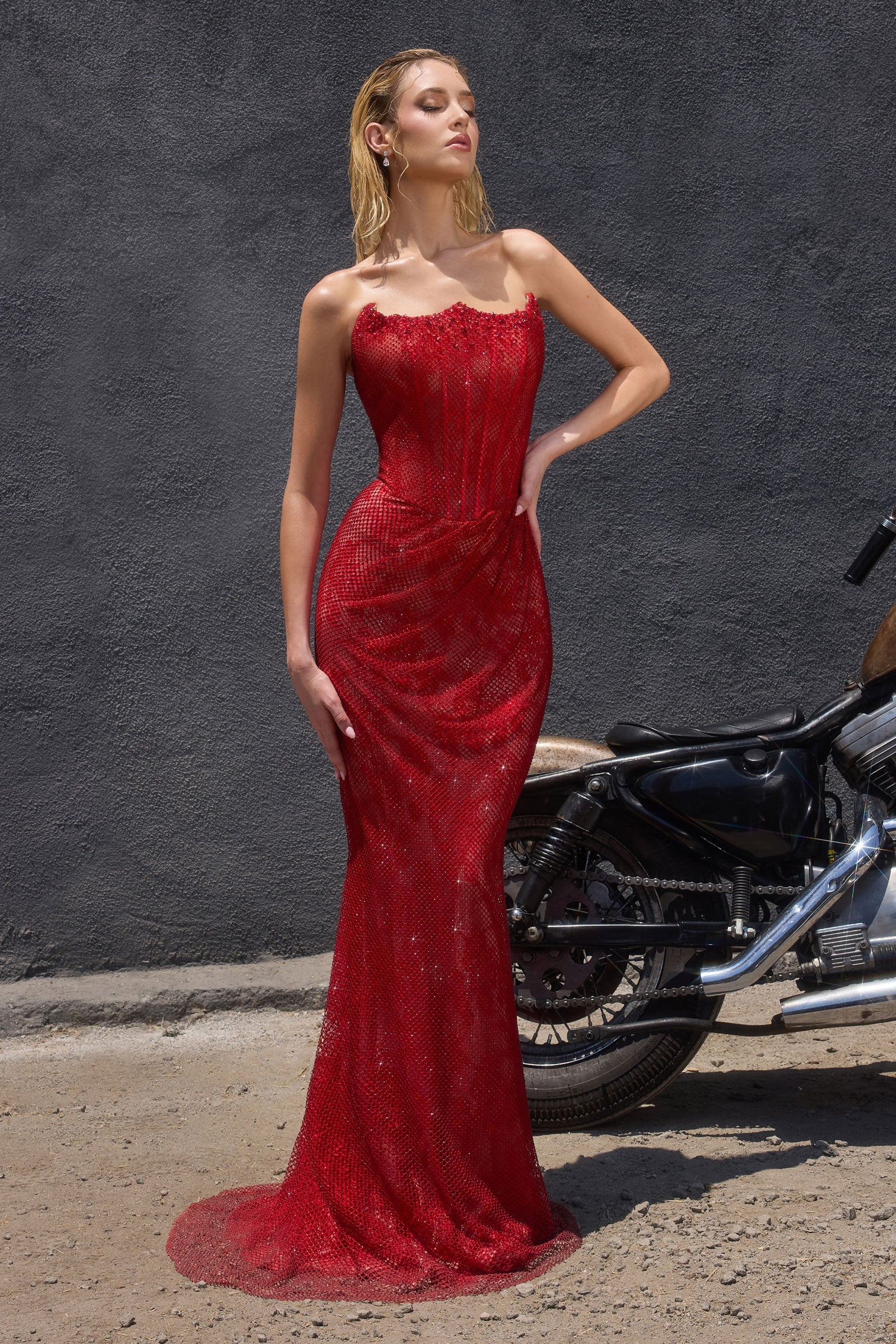 Ladivine CB162 - Beaded Mesh Sheath Evening Gown