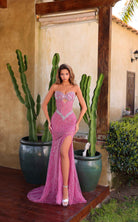 Chic and Holland AR330456 dress — view 1