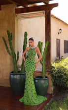 Chic and Holland AR330474 dress — view 1
