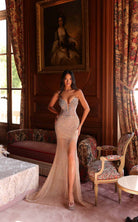 Chic and Holland AZ990094 dress — view 1