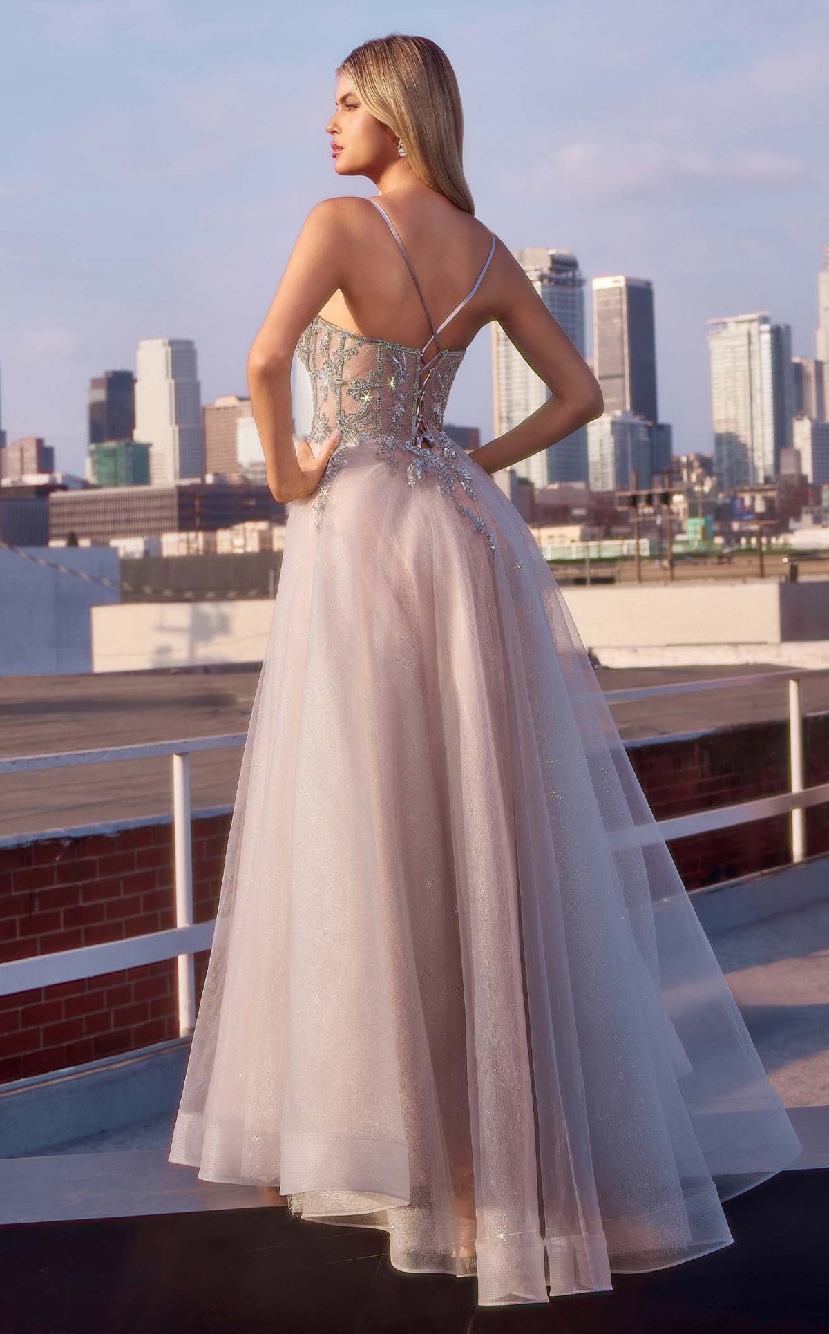 Ladivine CC0881CL dress — view 10