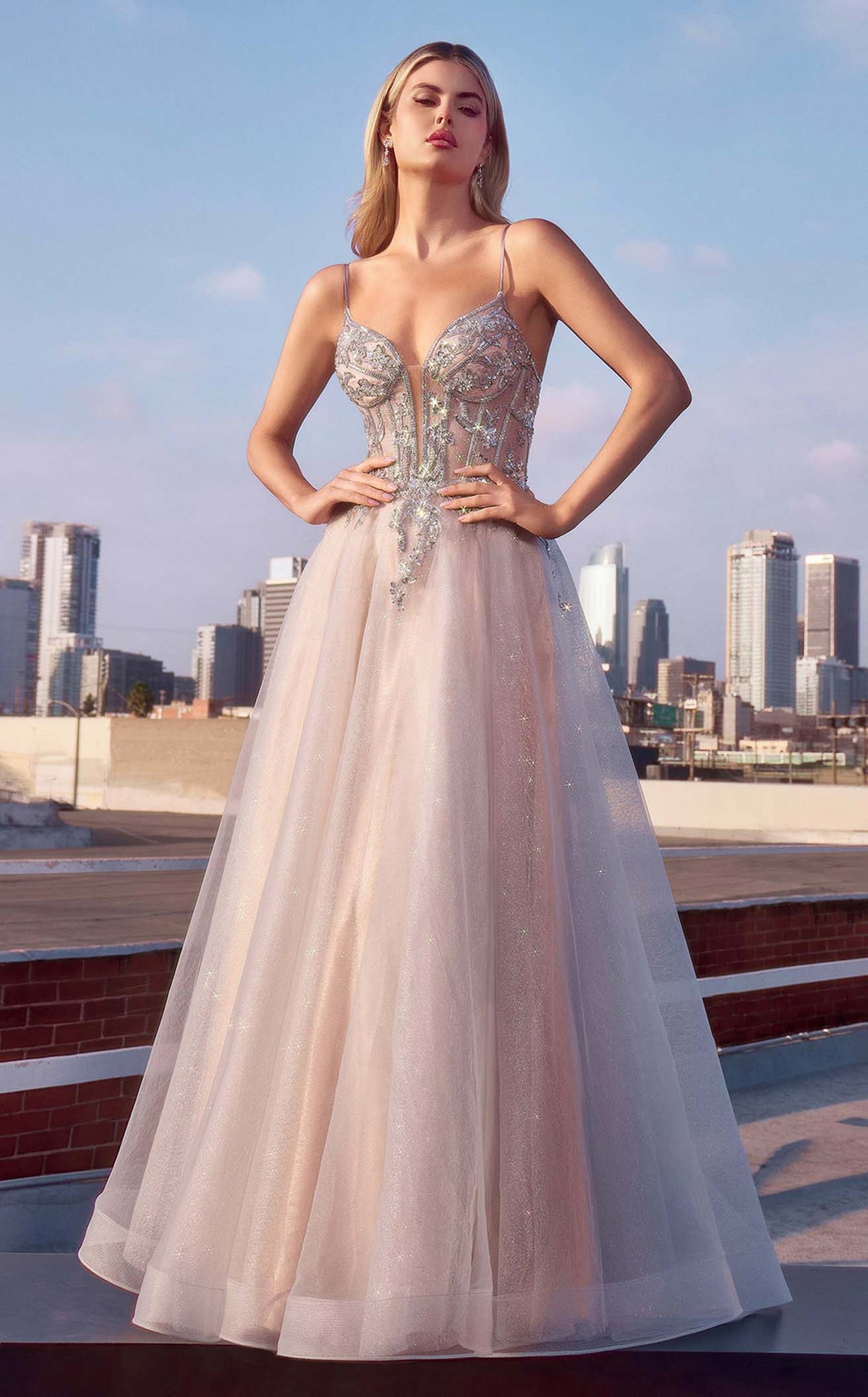 Ladivine CC0881CL dress — view 3