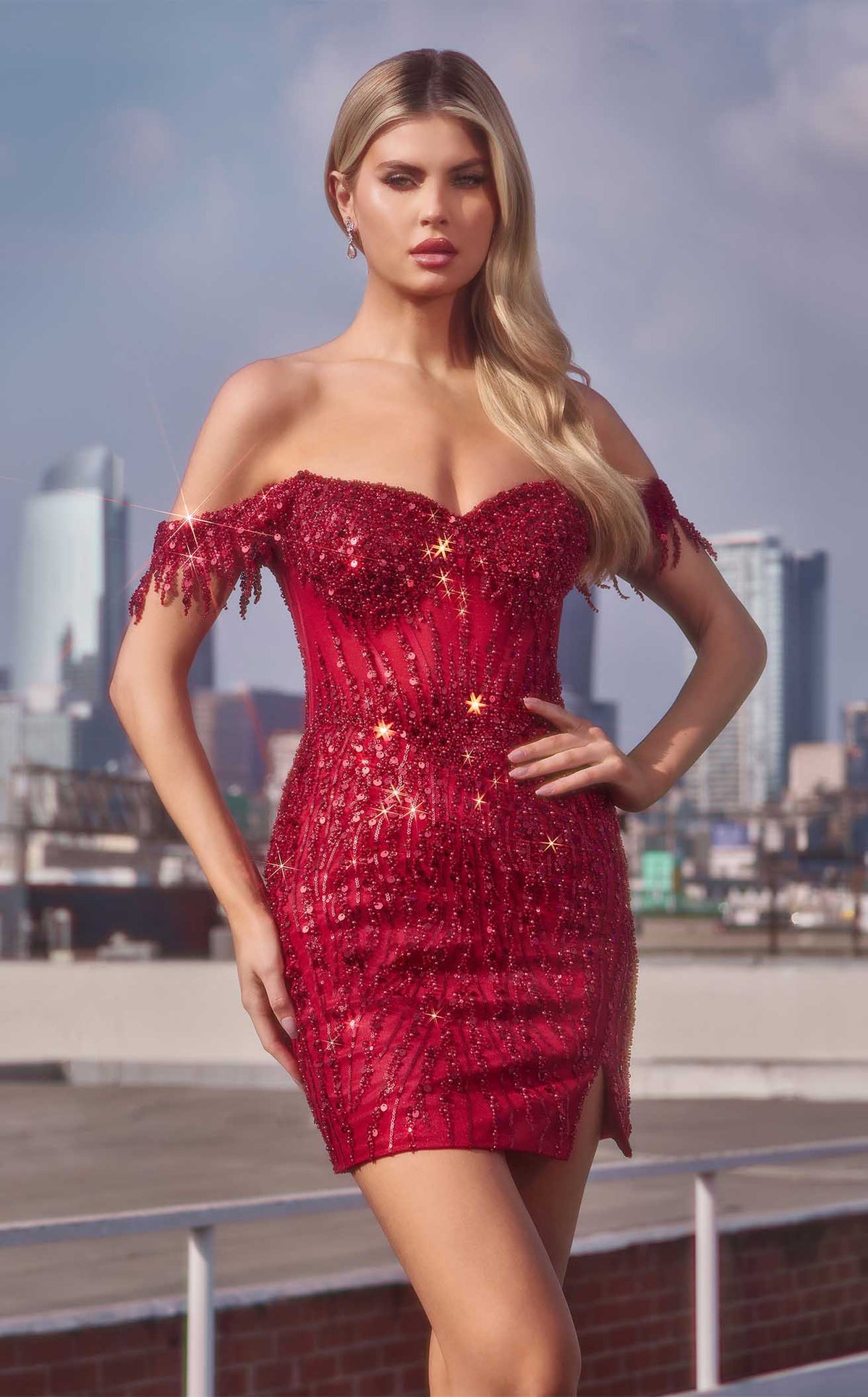 Ladivine CC461CL dress — view 5