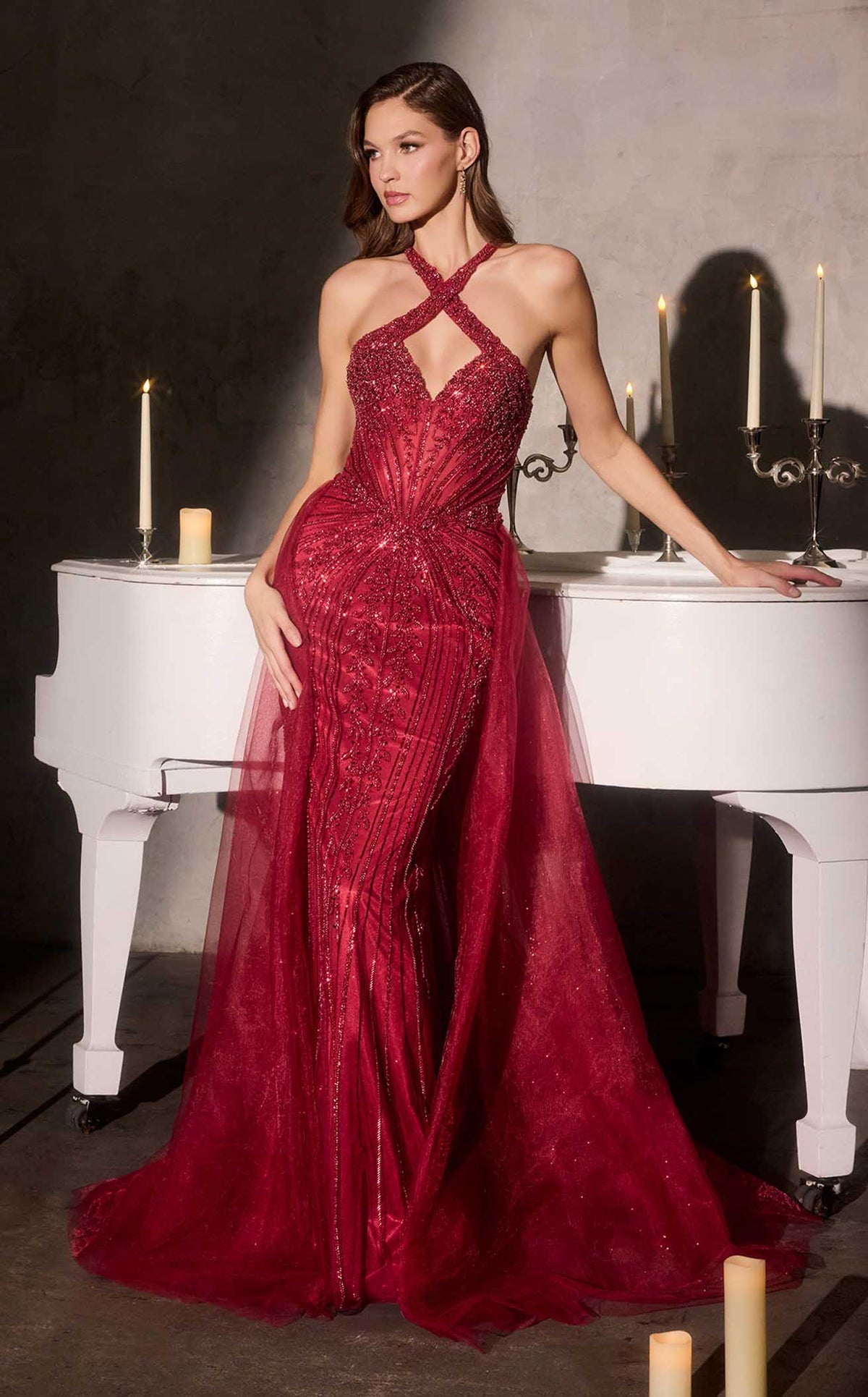 Ladivine CC495 dress — view 2