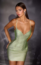 Ladivine CD2424CL dress — view 14