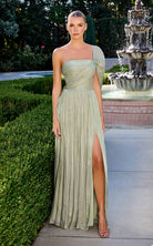Ladivine CD418CL dress — view 5