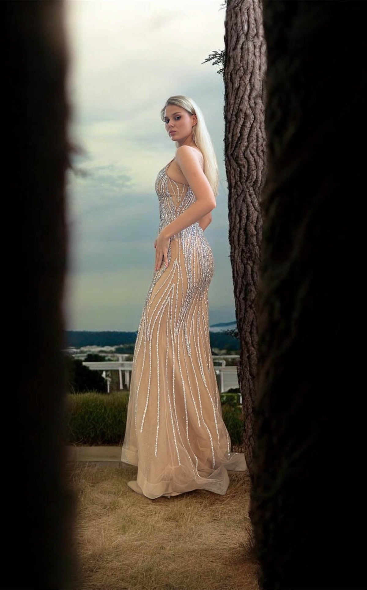 Ladivine CD719CL dress — view 14