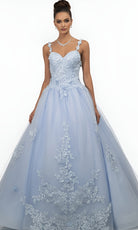 Jovani Q39393 - Sweetheart Ballgown with Floral Appliques - back view