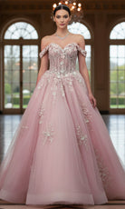 Jovani Q43434 - Off Shoulder Lace Applique Ballgown - back view