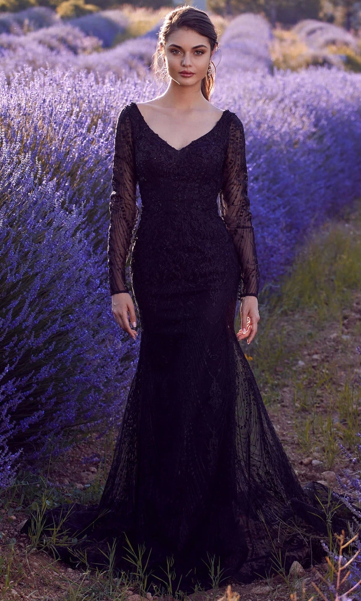 Alyce Paris 7030 - Long Sleeve Embroidered Tulle Dress