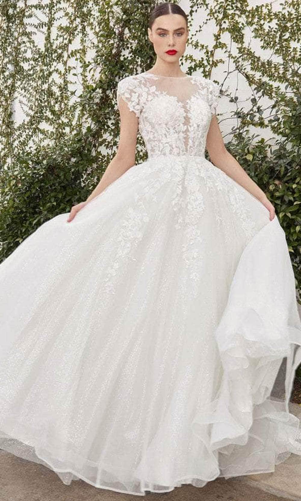 Andrea and Leo A1082W - Lace Applique Cap Sleeve A-Line Dress - Silhouette Dresses