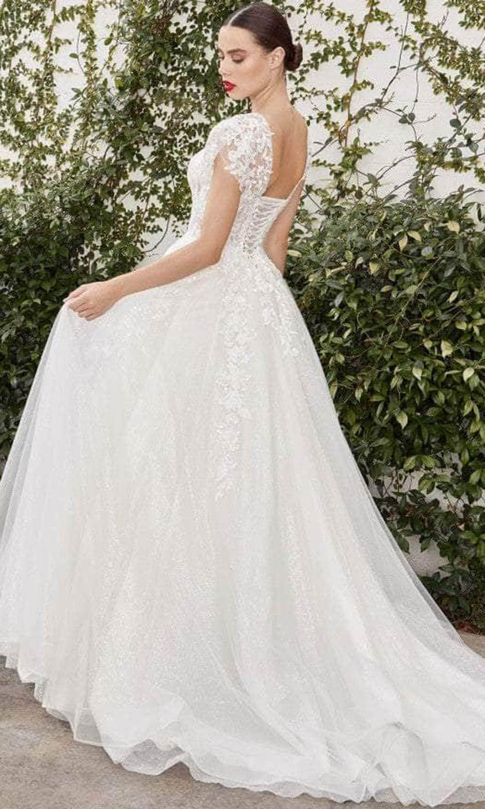 Andrea and Leo A1082W - Lace Applique Cap Sleeve A-Line Dress - back view