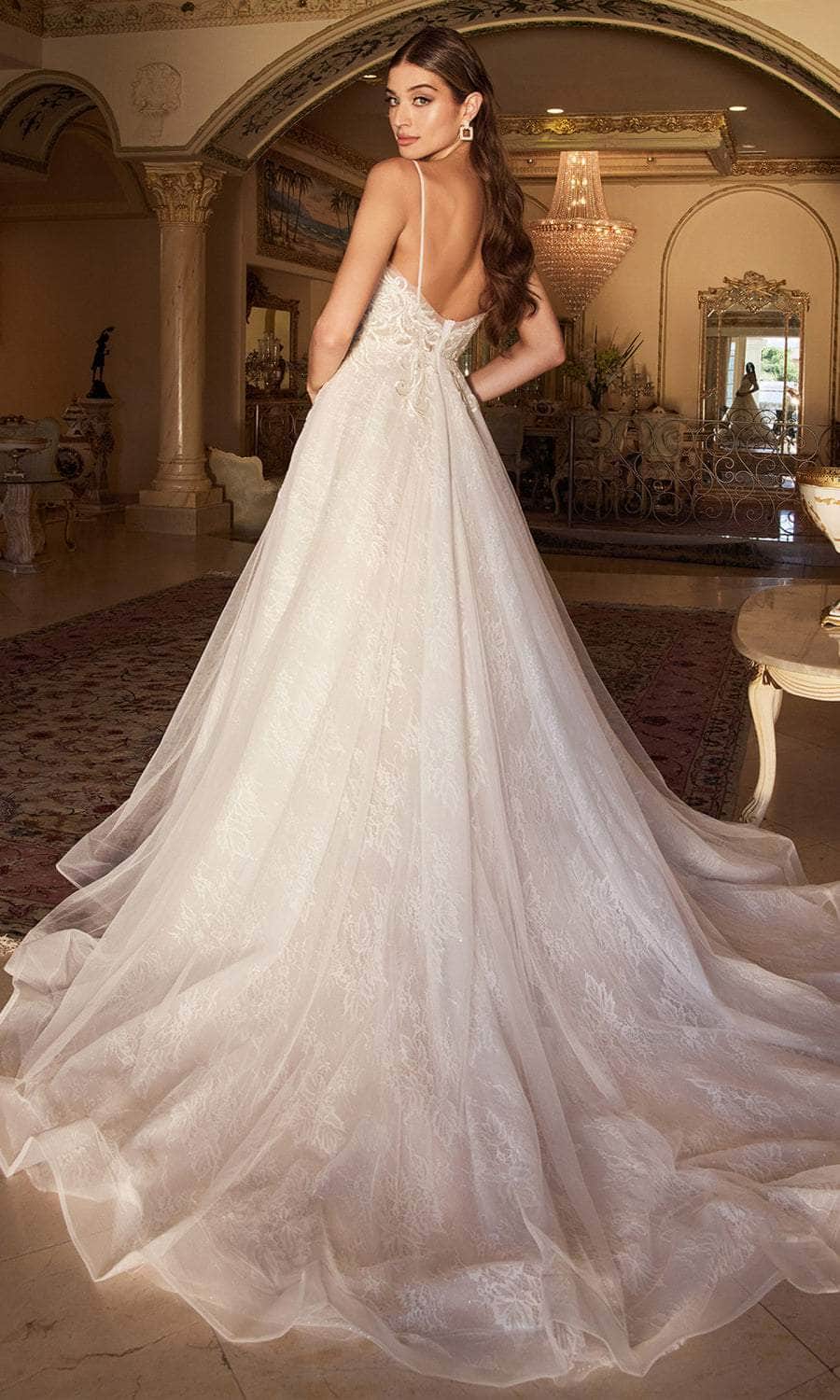 Andrea and Leo A1102W - Chantilly Lace A-Line Bridal Gown - back view