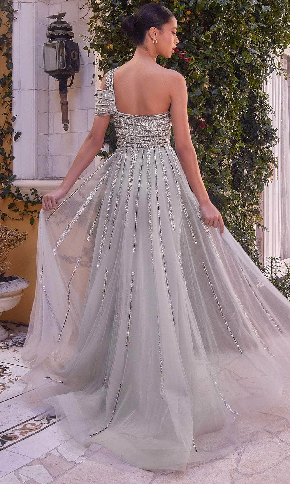 Andrea and Leo A1314 - Asymmetrical Overskirt Evening Dress - back view
