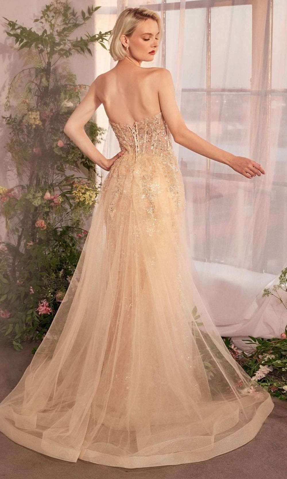 Andrea and Leo A1365 - Strapless Tulle Overskirt Evening Gown - back view