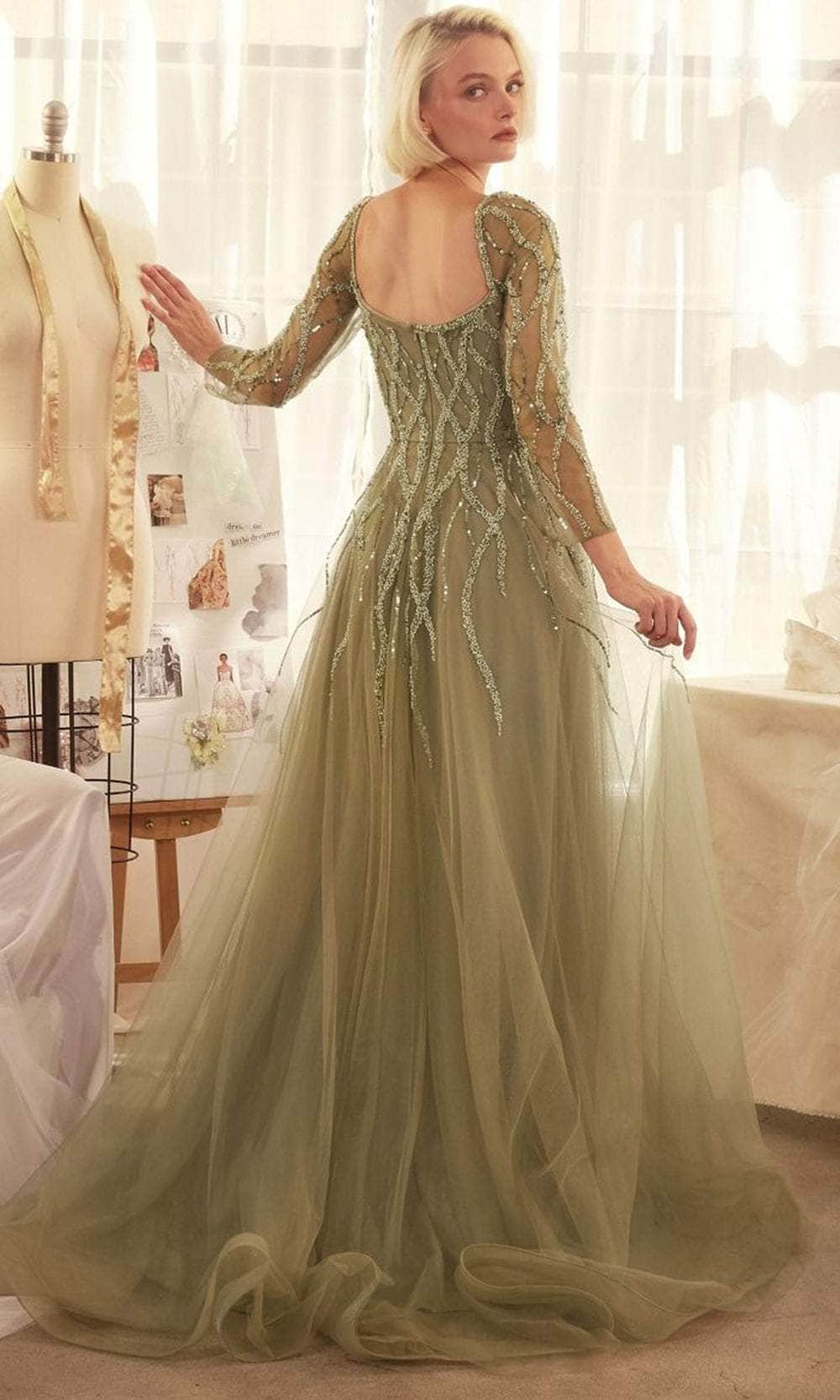 Andrea and Leo A1367 - Sheer Long Sleeve Sequin Evening Gown - back view