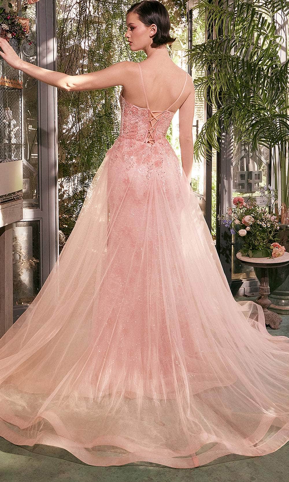 Andrea and Leo A1382 - Scoop Neck Floral Appliqued Prom Gown - back view