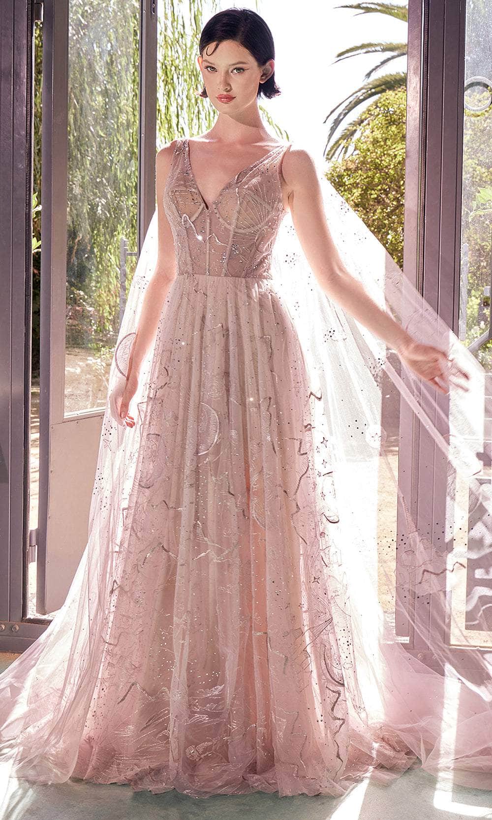Andrea and Leo A1459 - Star Sign Embroidered A-Line Evening Gown - back view
