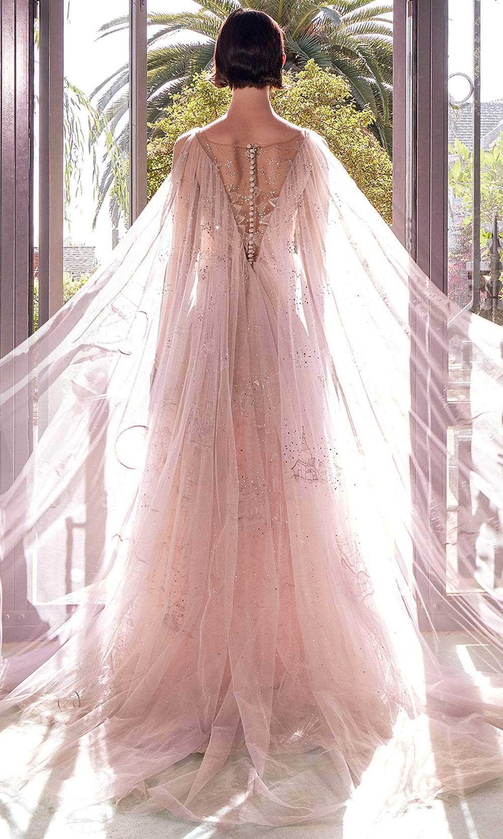 Andrea and Leo A1459 - Star Sign Embroidered A-Line Evening Gown - detail view