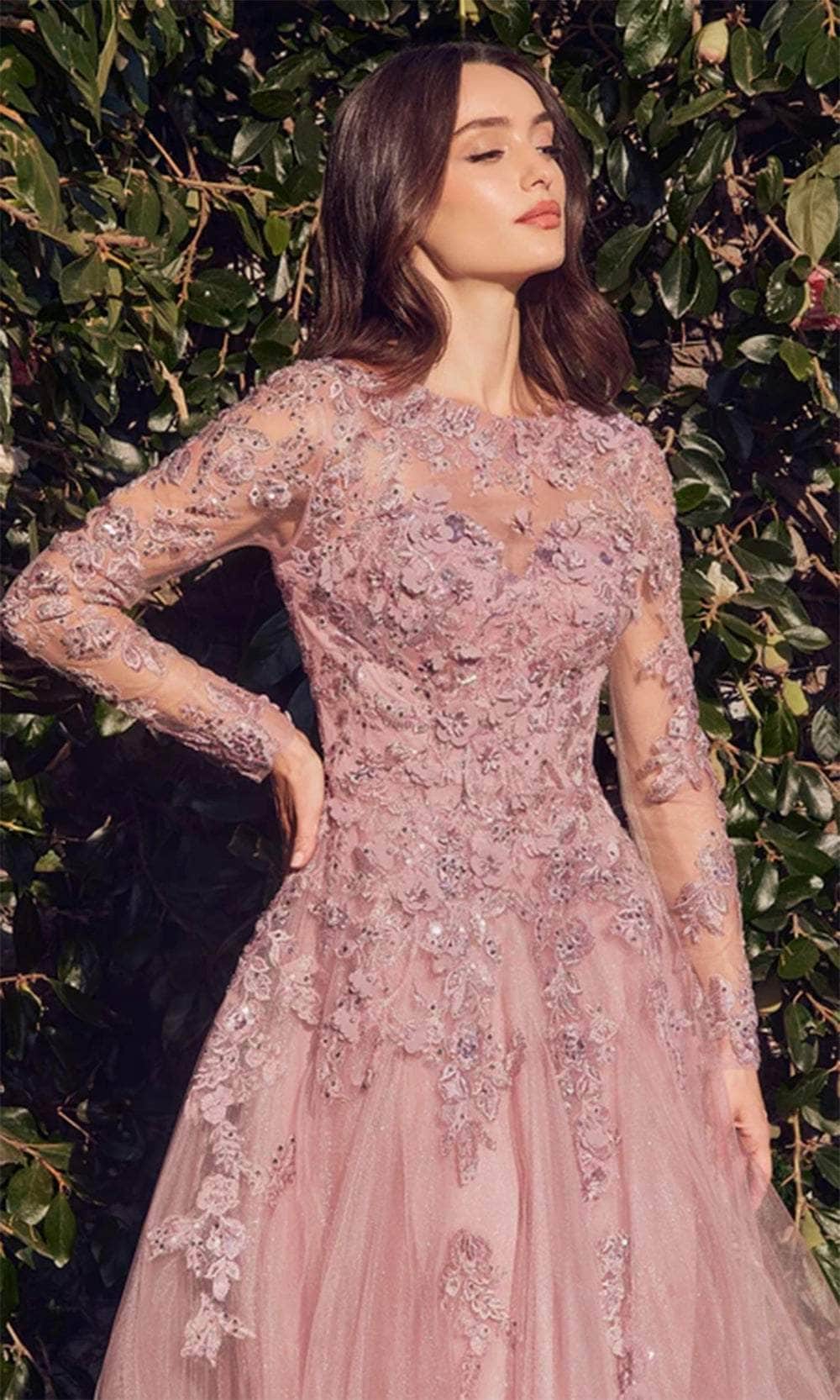 Andrea and Leo MA108 - Illusion Long Sleeve Evening Gown - view 5