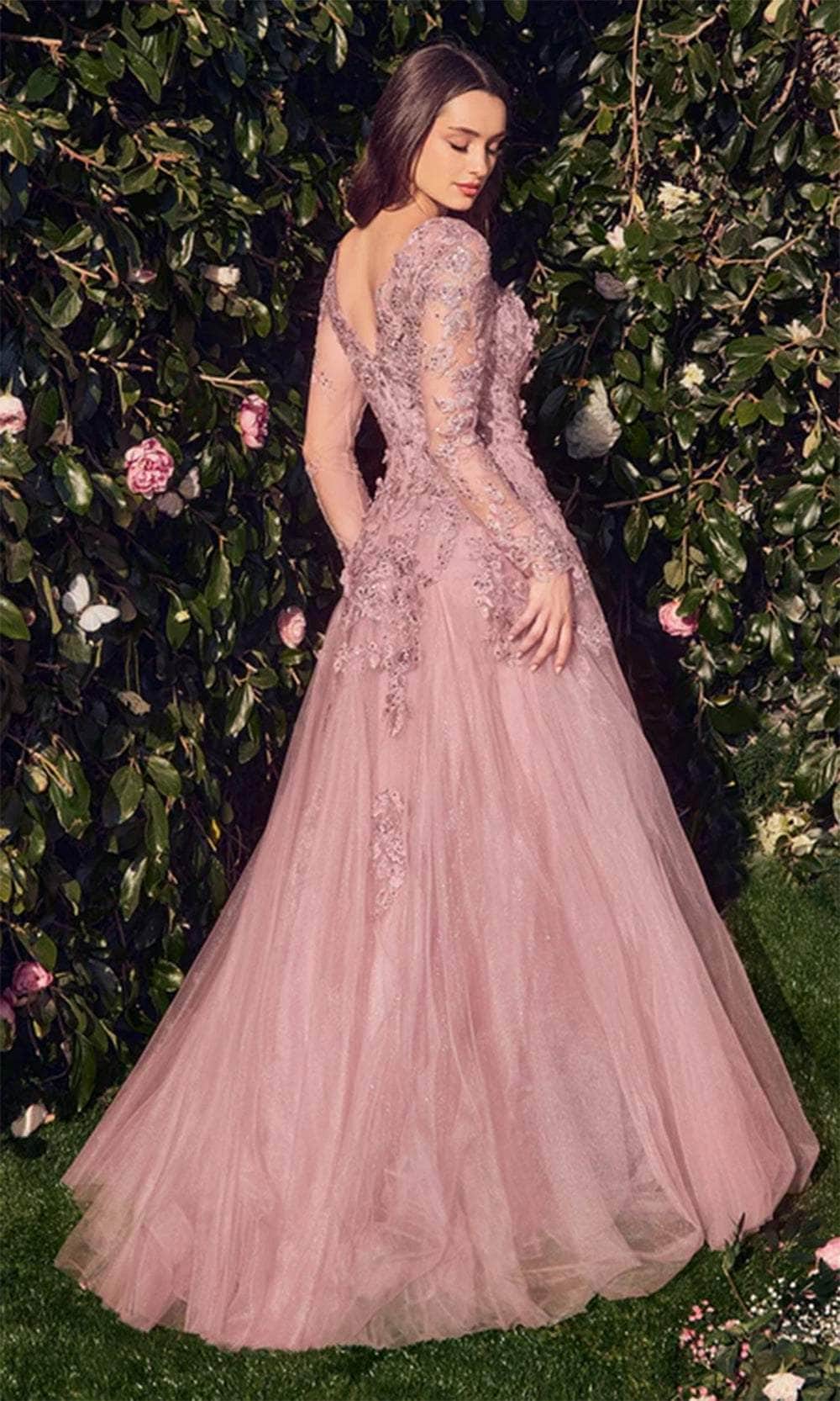 Andrea and Leo MA108 - Illusion Long Sleeve Evening Gown - detail view