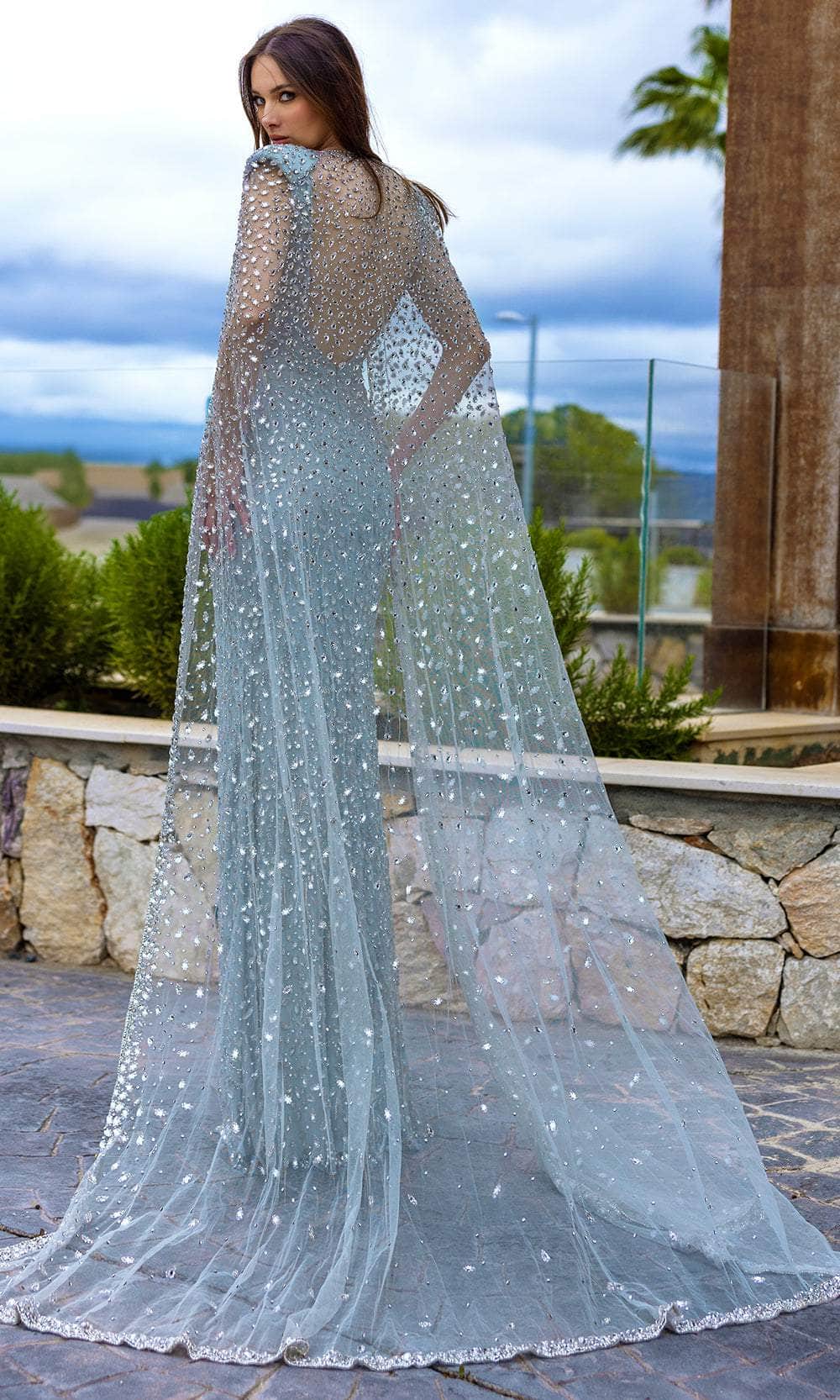 Chic and Holland HF110311 - Sheer Cape V-Neck Evening Dress - back view