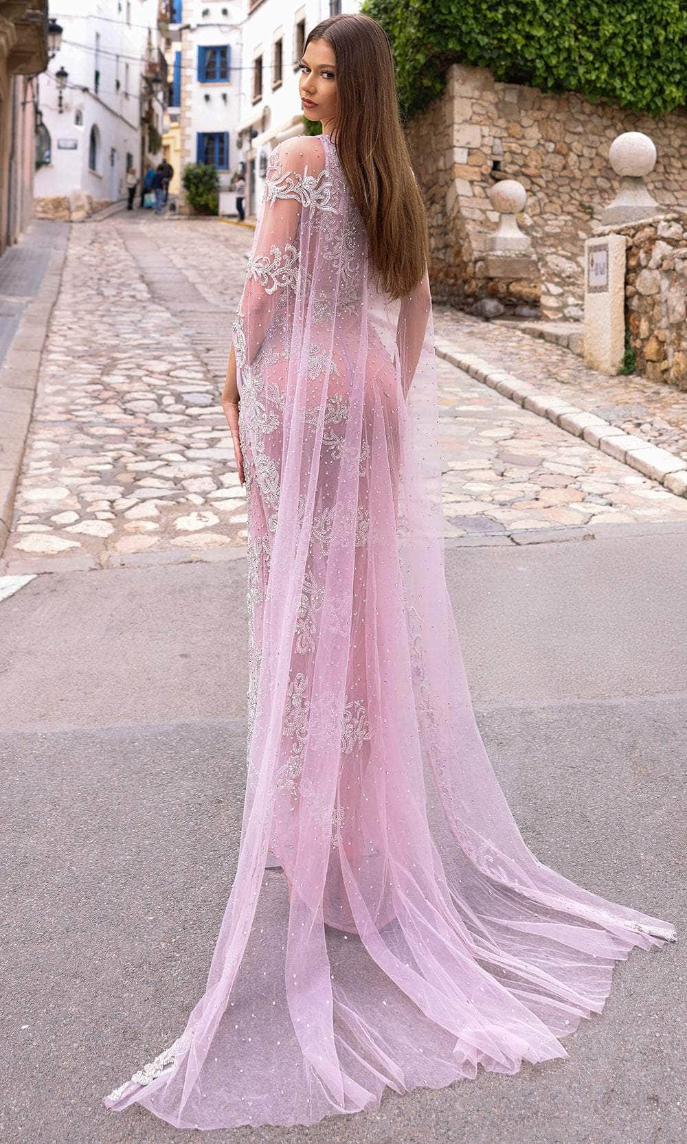 Chic and Holland HF110395 - Appliqued Jewel Neck Evening Dress - back view