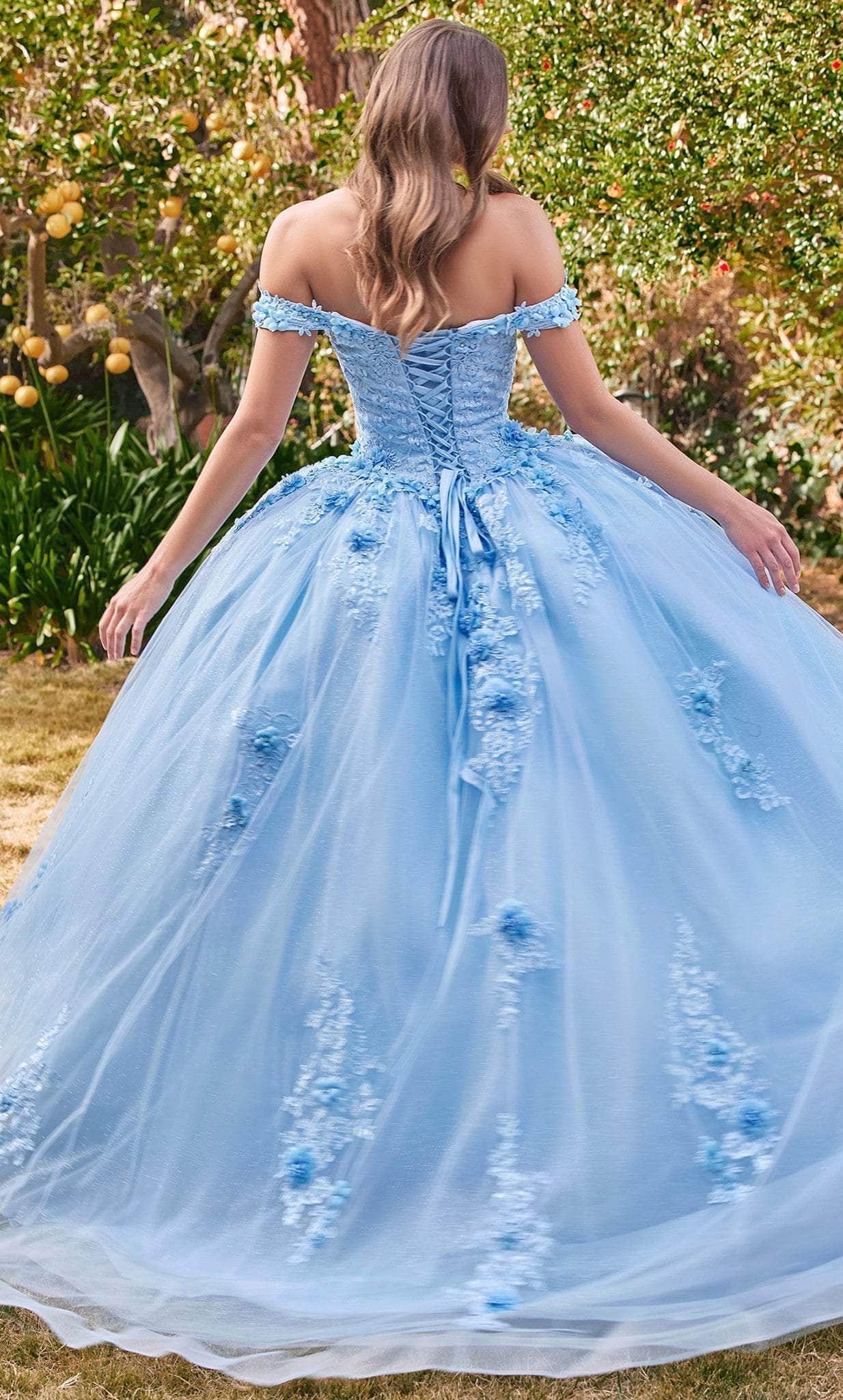 Cinderella Divine 15702 - Ballgown with Delicate Floral Appliques - detail view