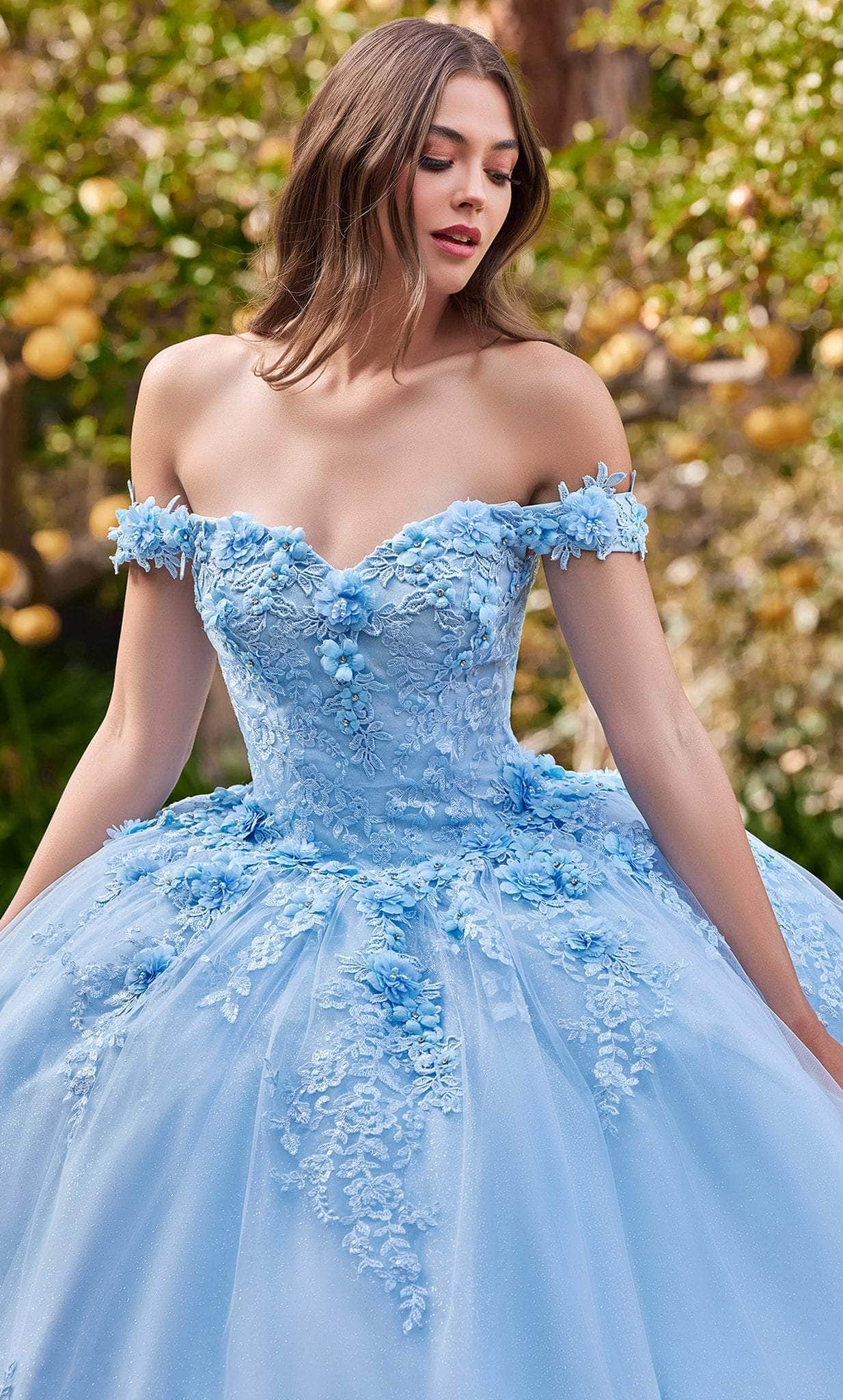 Cinderella Divine 15702 - Ballgown with Delicate Floral Appliques - view 4
