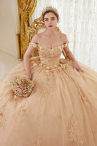 Cinderella Divine 15702 - Ballgown with Delicate Floral Appliques - view 7