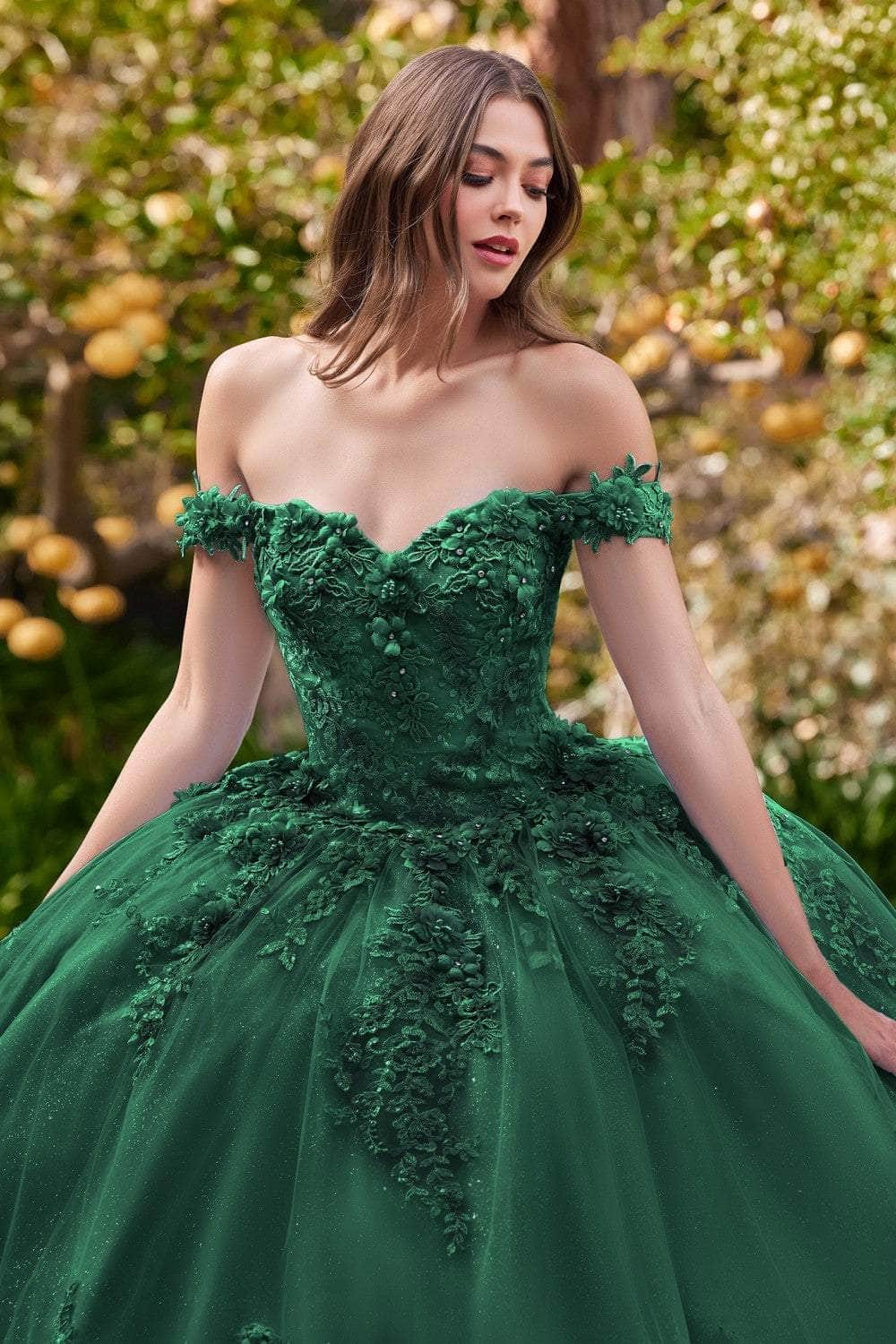 Cinderella Divine 15702 - Ballgown with Delicate Floral Appliques - view 14