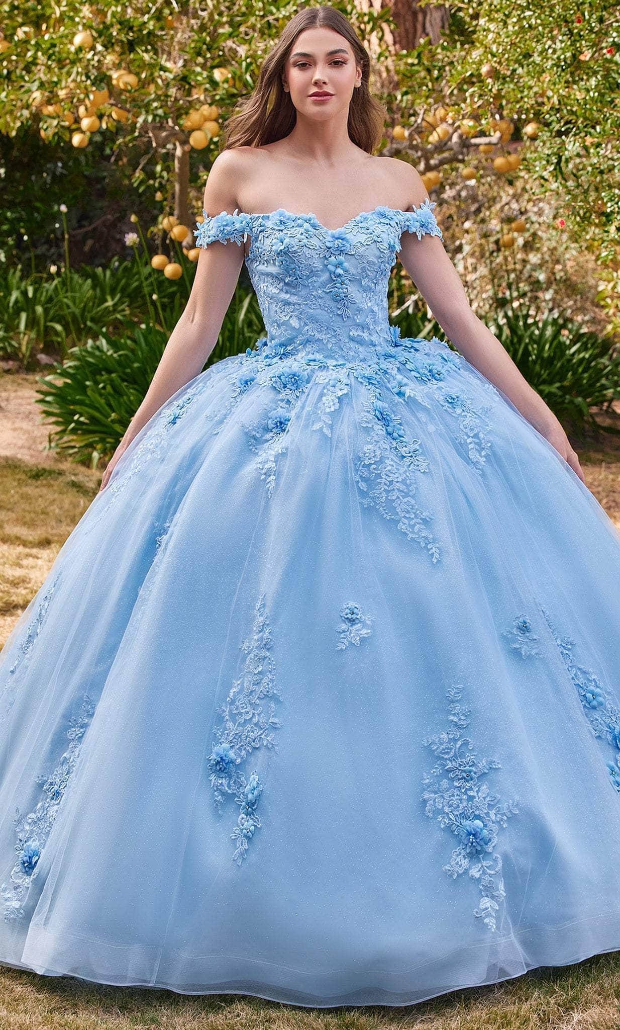 Cinderella Divine 15702 - Ballgown with Delicate Floral Appliques - back view
