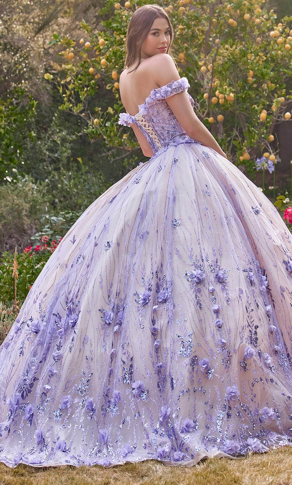 Cinderella Divine 15704 - Floral Appliqué Sweetheart Ballgown - detail view