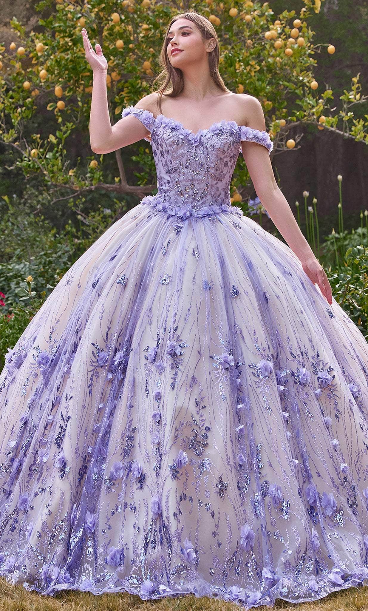 Cinderella Divine 15704 - Floral Appliqué Sweetheart Ballgown - back view