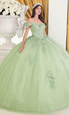 Cinderella Divine 15710 - Off-Shoulder Ballgown with Floral Embellishments - back view