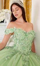 Cinderella Divine 15710 - Off-Shoulder Ballgown with Floral Embellishments - detail view